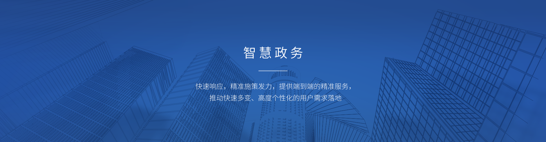 政务