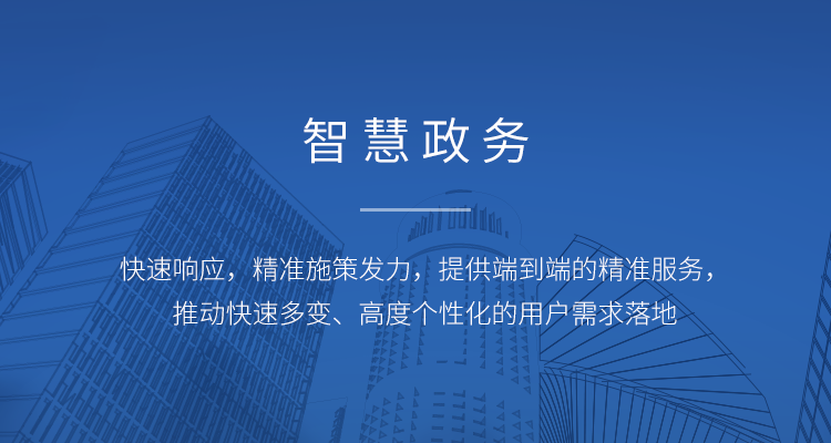 政务